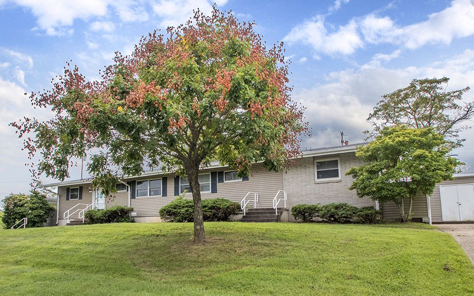 a house on a hill with a tree in front of it