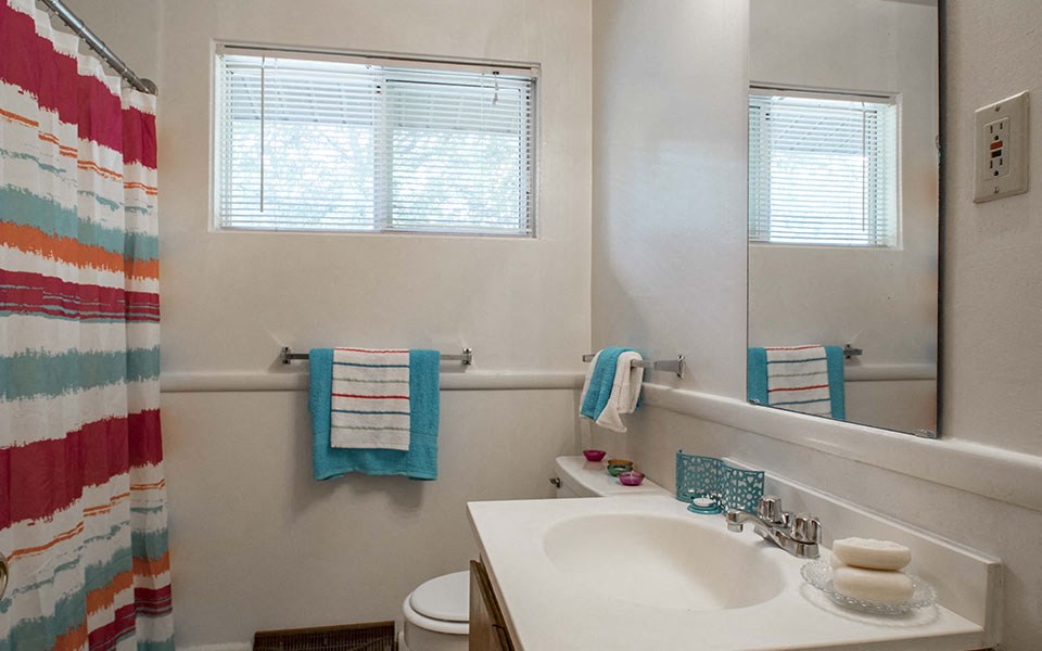 a bathroom with a sink and a mirror and a shower
