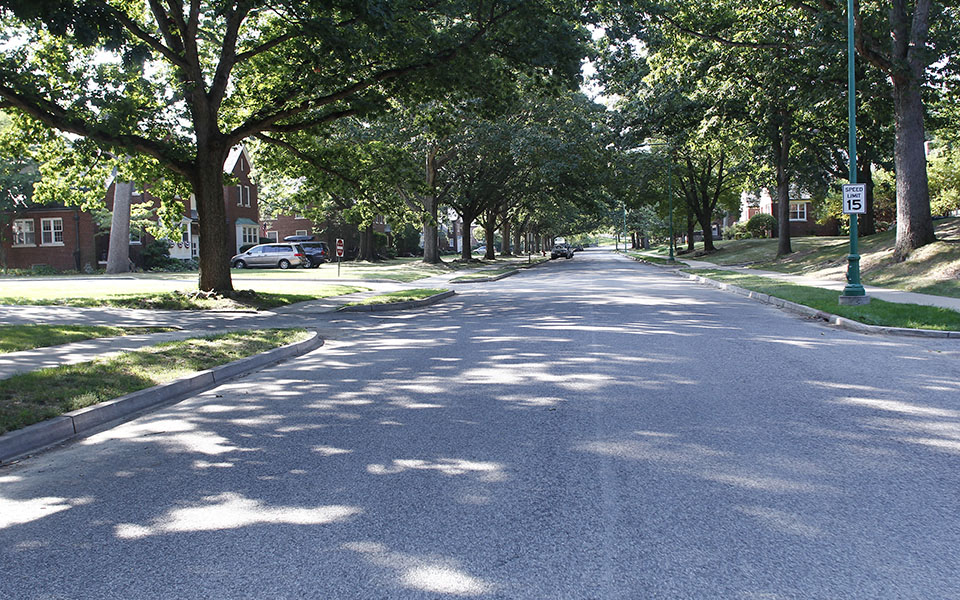 an empty street with trees on both sides of it