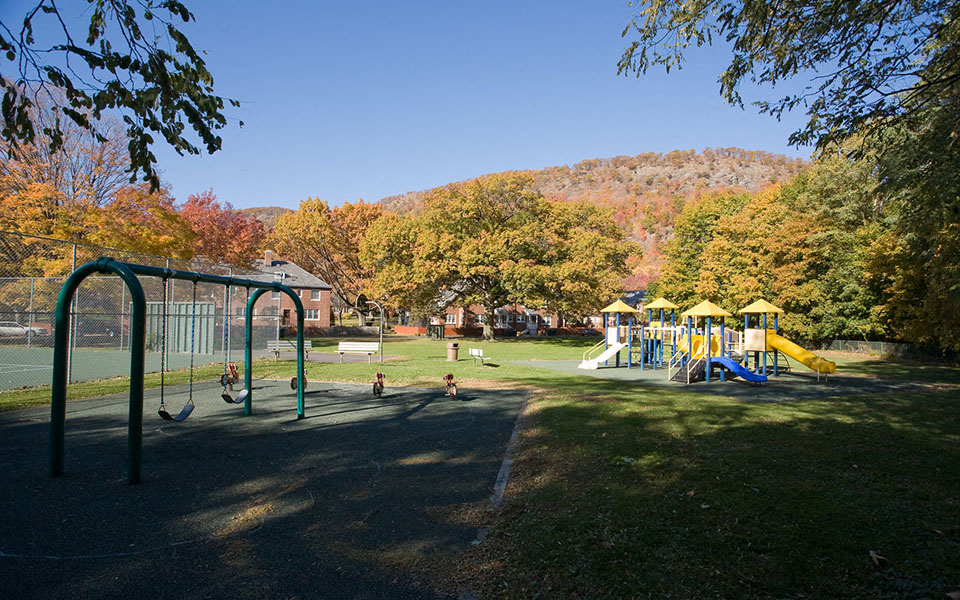 children playing on the playground at the park