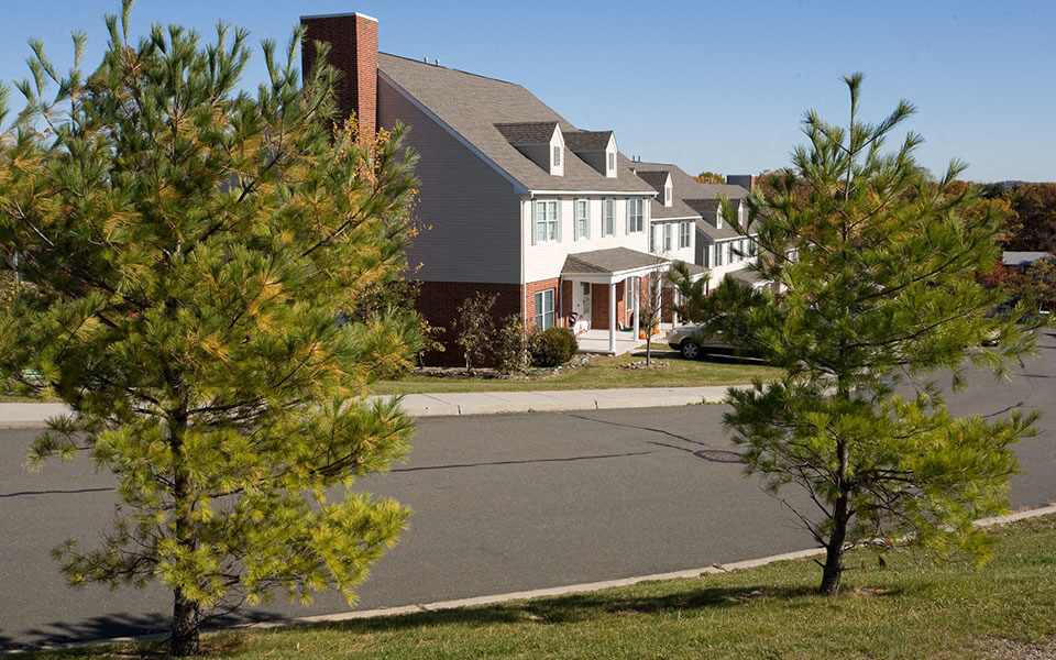a house on a street with trees in front of it