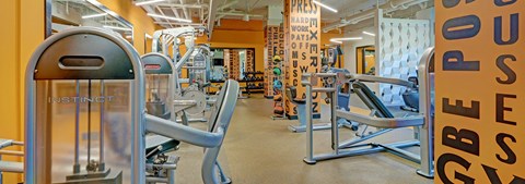 A gym with a variety of equipment including a rowing machine.