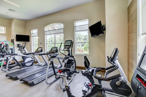 Fitness Center With Modern Equipment at Tuscany Bay Apartments, Florida