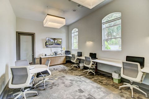 Resident Business Center With Computer And Printer at Tuscany Bay Apartments, Florida, 33626
