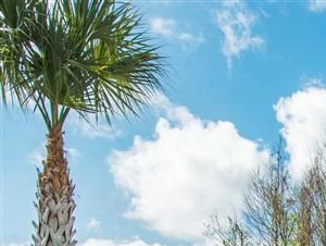 The Parkway at Hunters Creek | Apartments for Rent in Orlando, FL | Swimming Pool with Lounge Seating