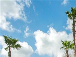 The Parkway at Hunters Creek | Apartments for Rent in Orlando, FL | Swimming Pool