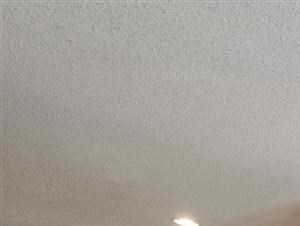 Saratoga | Apartments For Rent in Melbourne, FL | Living Room