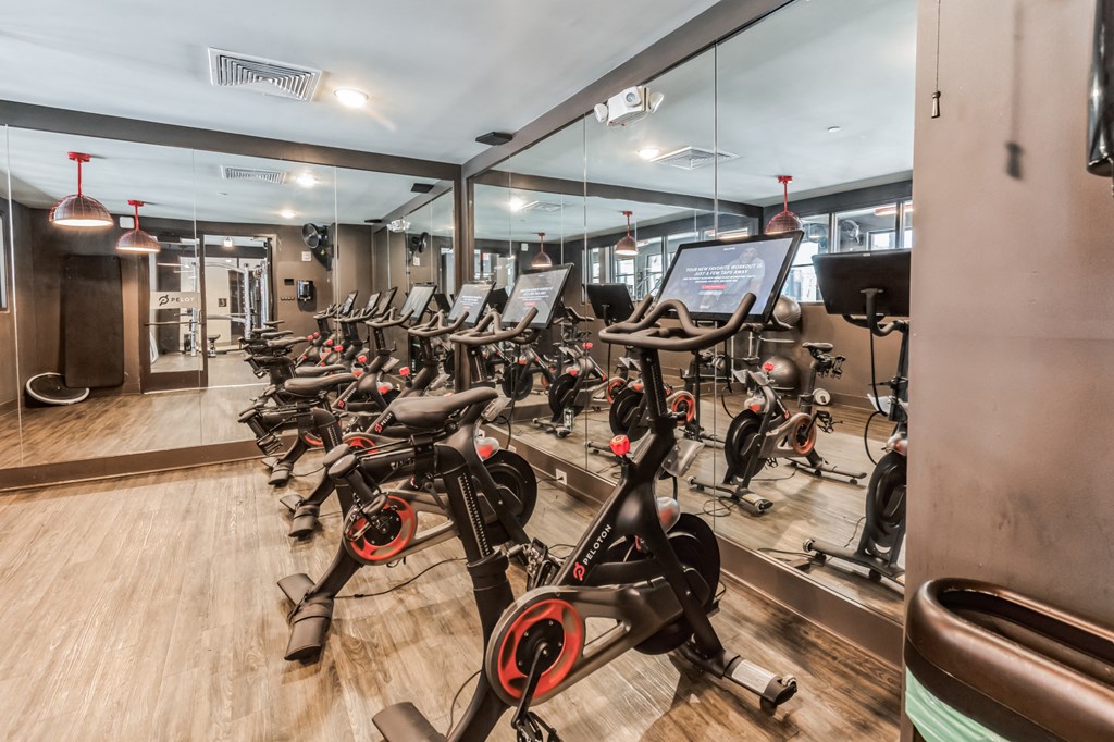 a large group of exercise bikes in a gym
