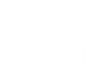 A10