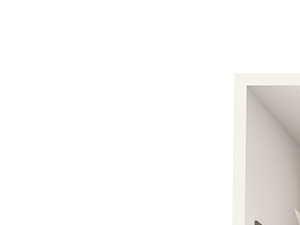 A9