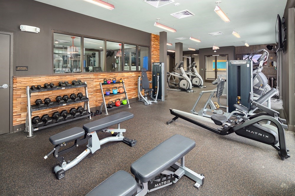 the gym is equipped with weights and other exercise equipment