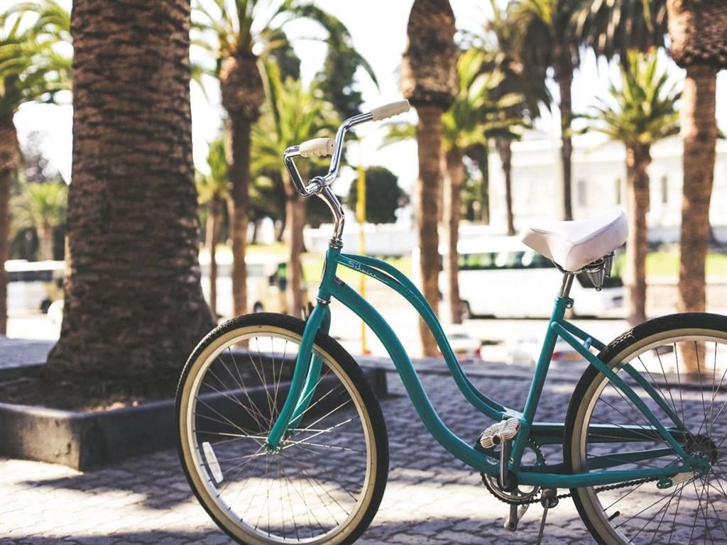 a green bike parked next to a palm tree