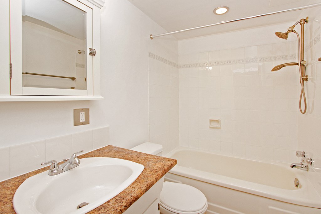 a bathroom with a sink and a bath tub and a mirror