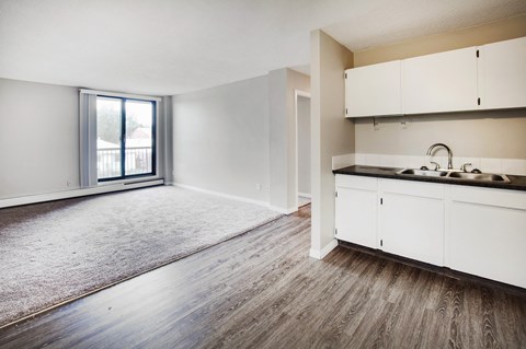 an empty living room with a sink and a window
