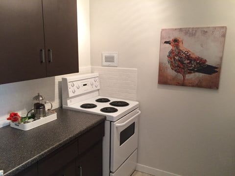 a kitchen with a stove and a painting of a bird