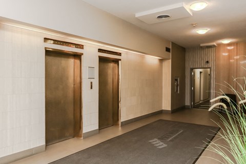 three elevators in a lobby of a building with a rug
