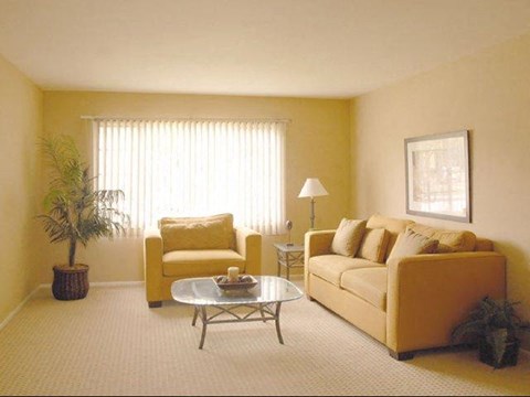 A living room with a yellow couch, a yellow chair, a glass coffee table, and a potted plant.