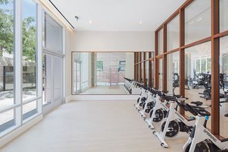 the home gym has plenty of bikes parked in a row