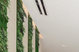 a gym with a large number of exercise bikes and a green wall with plants
