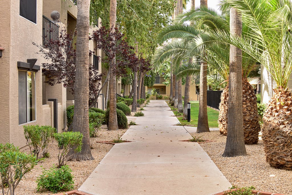 Tree lined sidewalk leading through the community