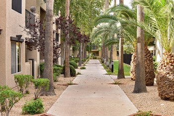 Sidewalk leading through community Tree lined sidewalk leading through the community - Photo Gallery 2