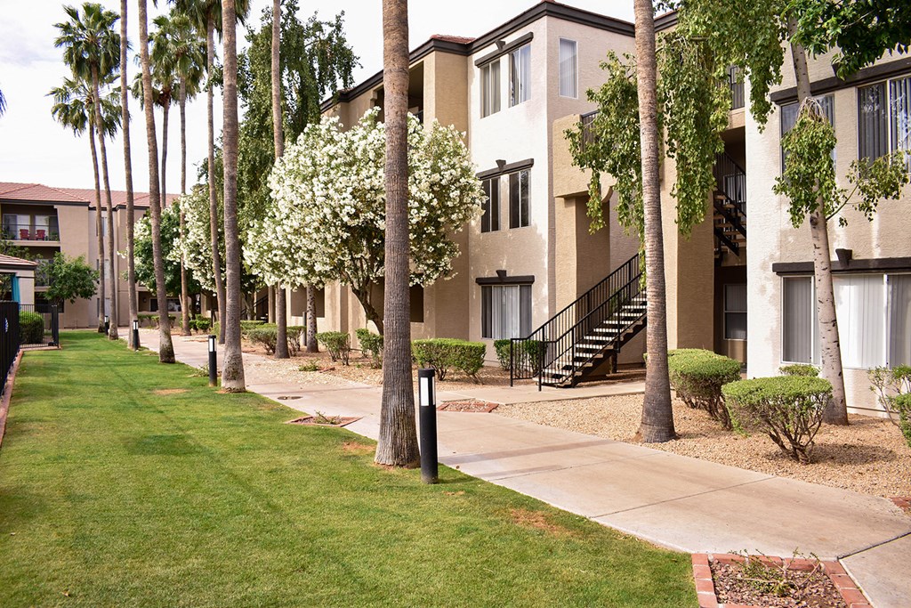 Tree lined sidewalk in front of apartments facing pool are and courtyard