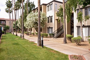Tree lined sidewalks Tree lined sidewalk in front of apartments facing pool are and courtyard - Photo Gallery 3