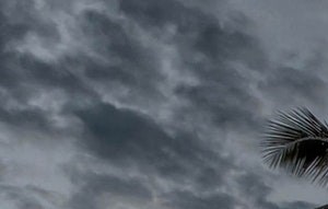 Palms of La Mesa | Apartments in La Mesa, CA