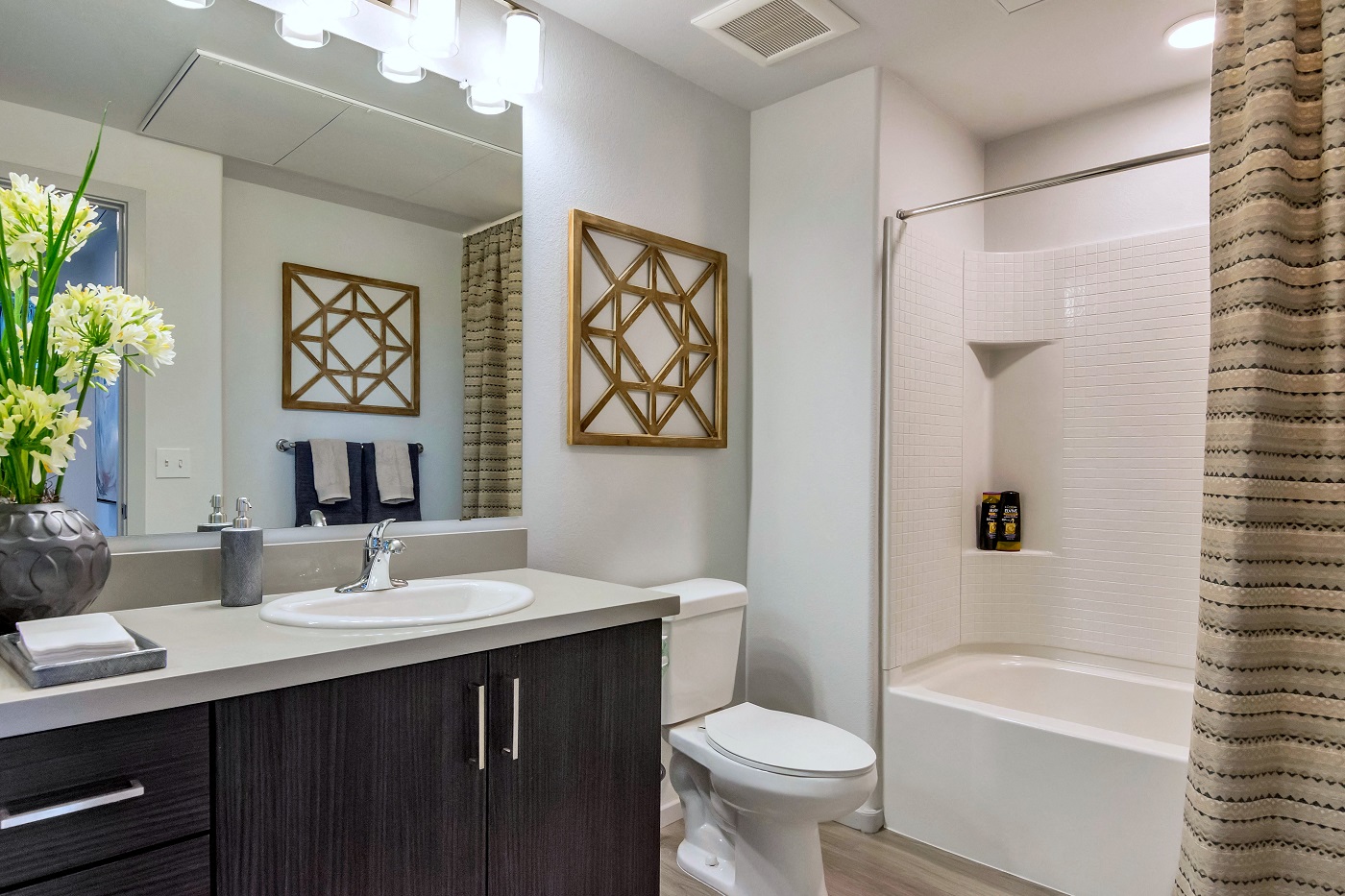 Rental Homes In Chandler Az