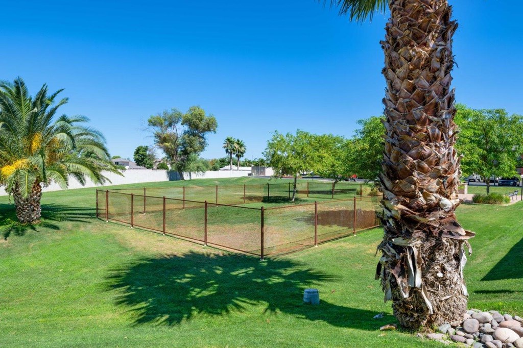 a tennis court in a park with palm trees