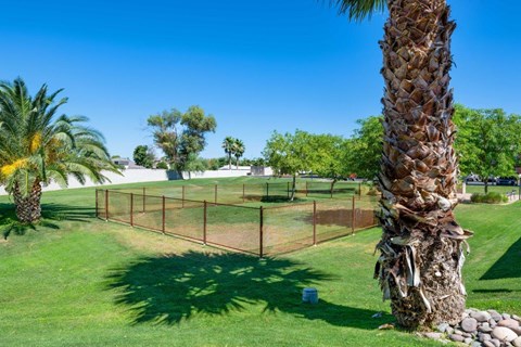A palm tree stands next to a chain link fence in a grassy area at Reflections at Red Mountain Apartments, Arizona, 85213