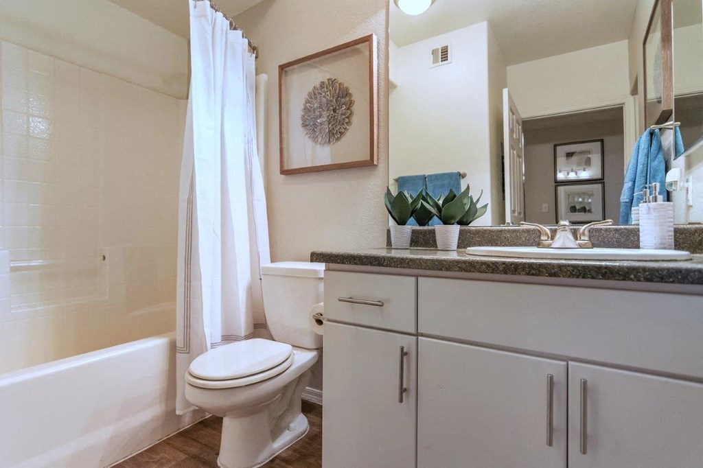 a bathroom with a toilet and a sink and a mirror