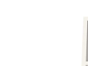 A1