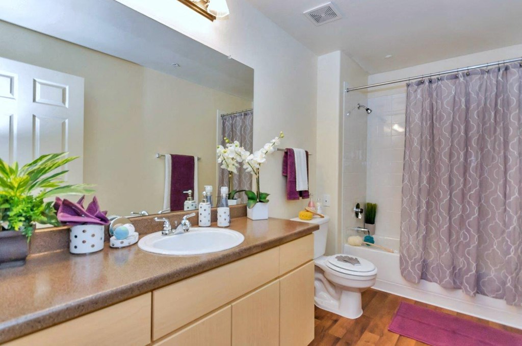 a bathroom with a sink and a toilet and a shower