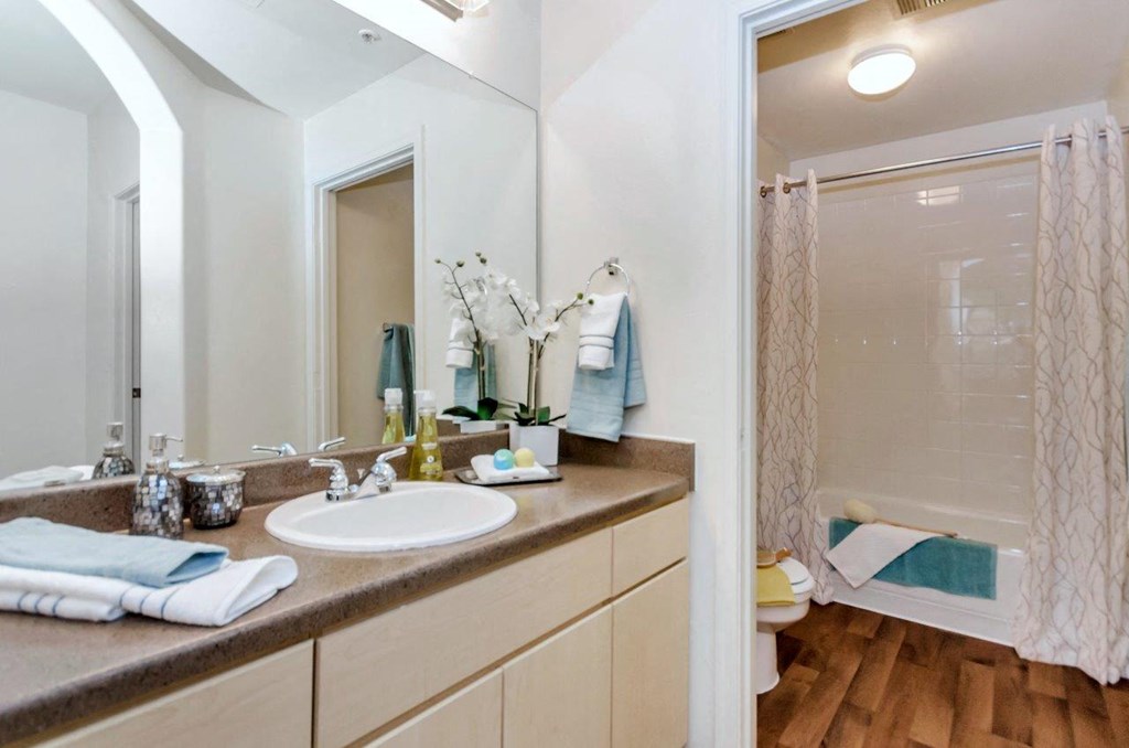 a bathroom with a sink and a shower and a mirror