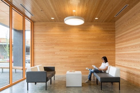a woman sitting on a couch in a wood walled room with a laptop