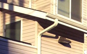 Patio/Balcony