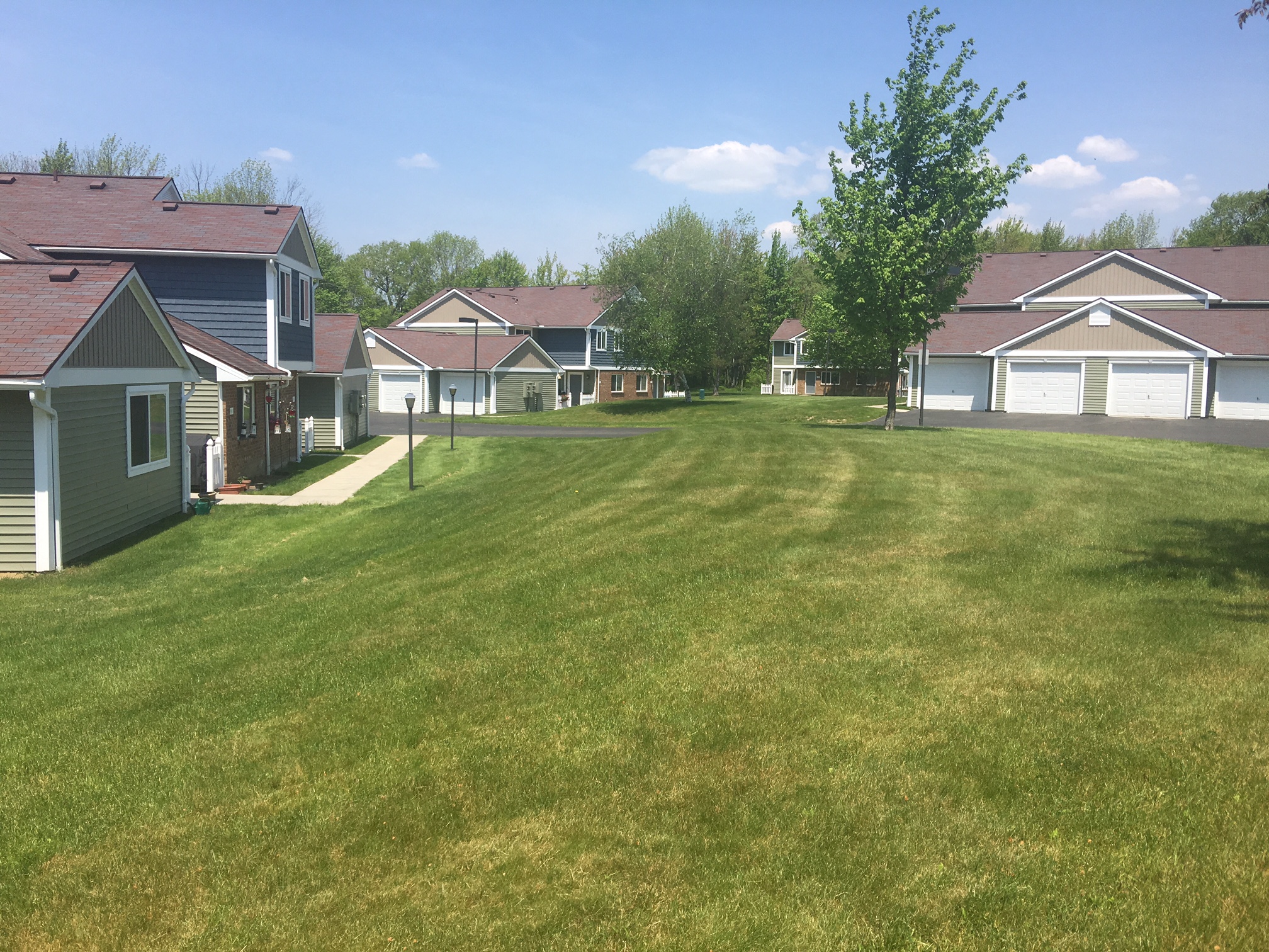 a large yard in front of a row of houses