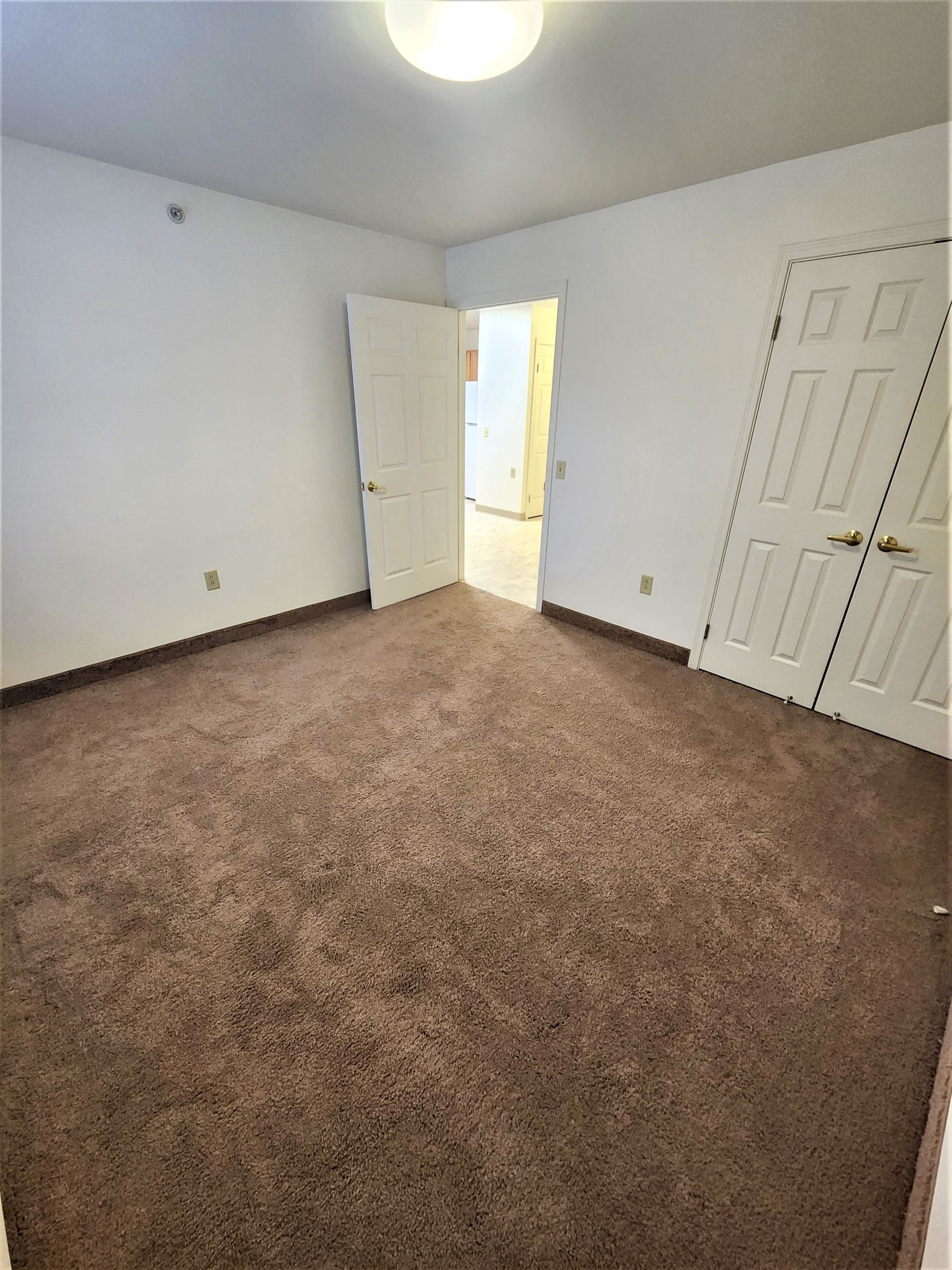 an empty living room with carpet and white doors