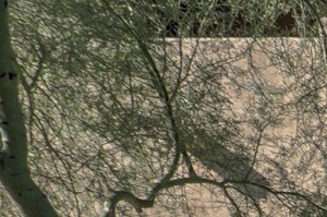 Community Outdoor Fireplace at Ridge View Apartments in Fountain Hills, AZ