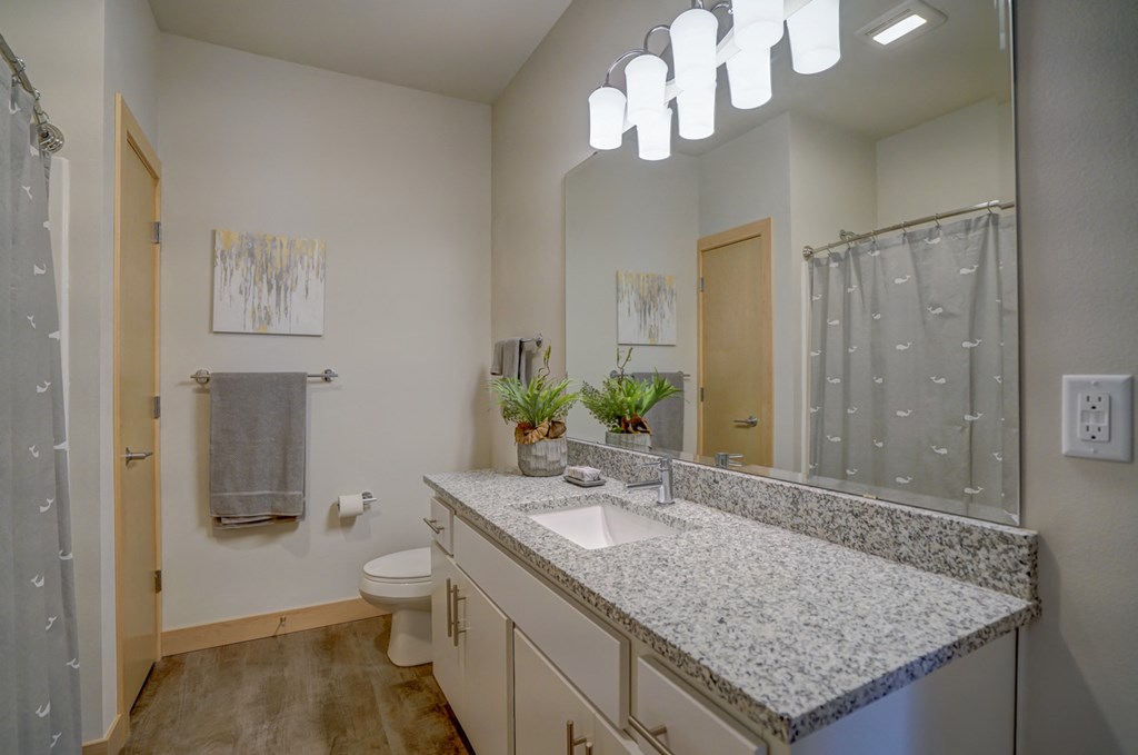 a bathroom with a granite counter top and a shower and a toilet