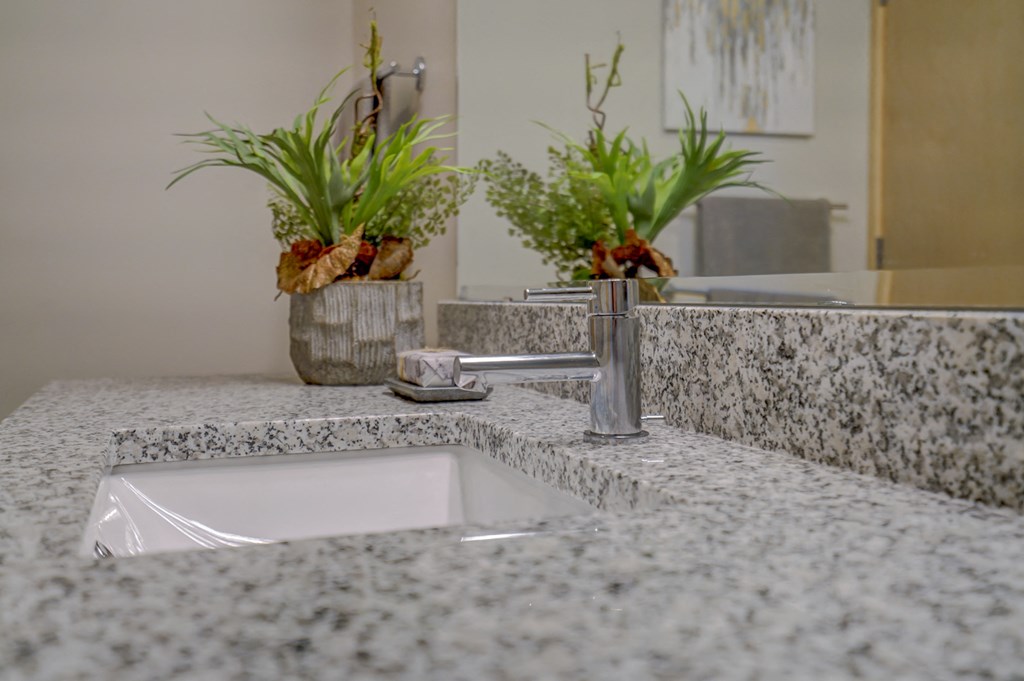 a sink in a bathroom with a mirror and plants