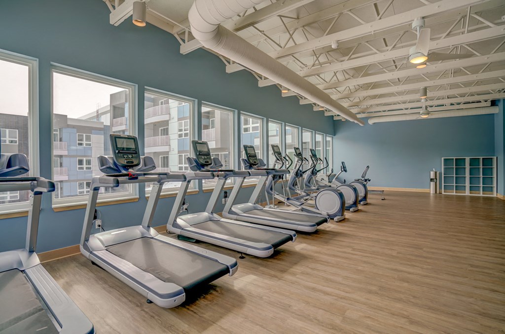 a row of cardio equipment in a fitness room with windows