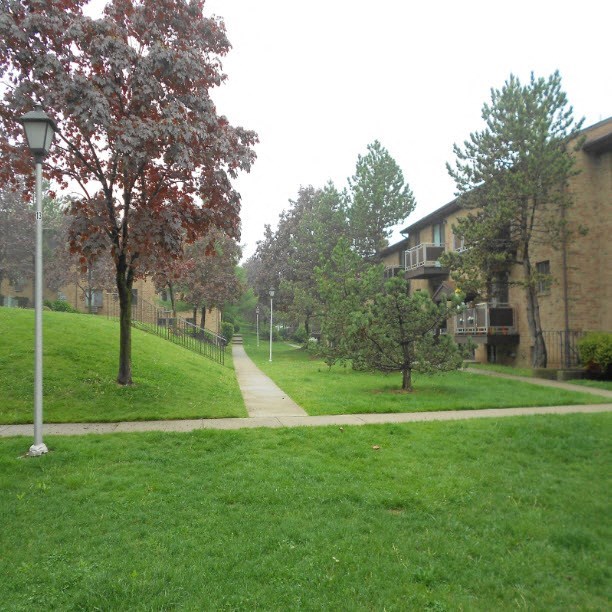 a sidewalk in the middle of a green park