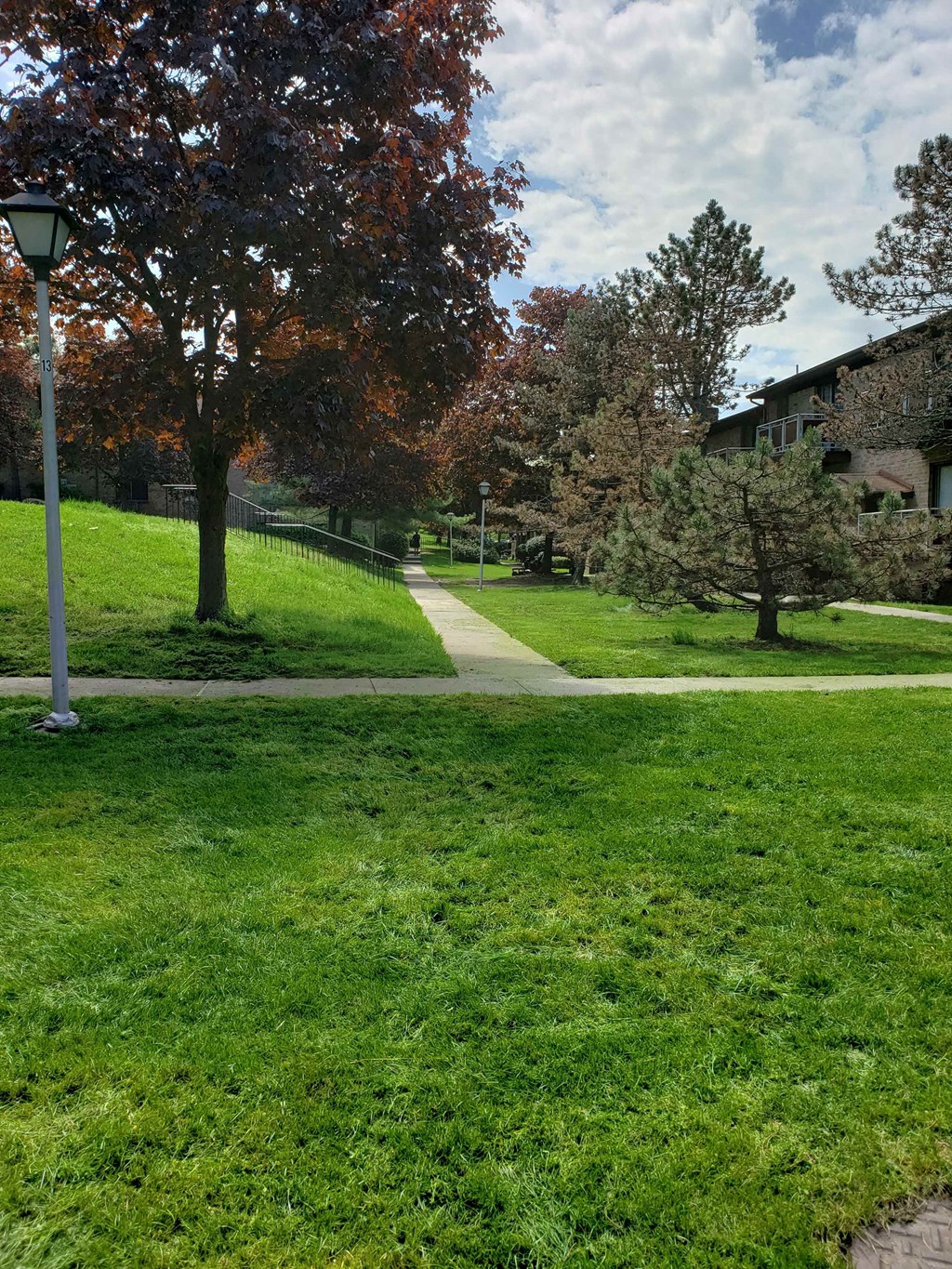 A grassy area with a lamp post and trees.