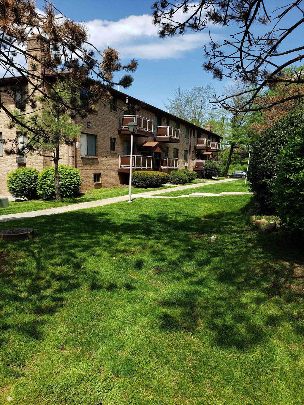 A grassy area in front of a building with a tree branch in the foreground.