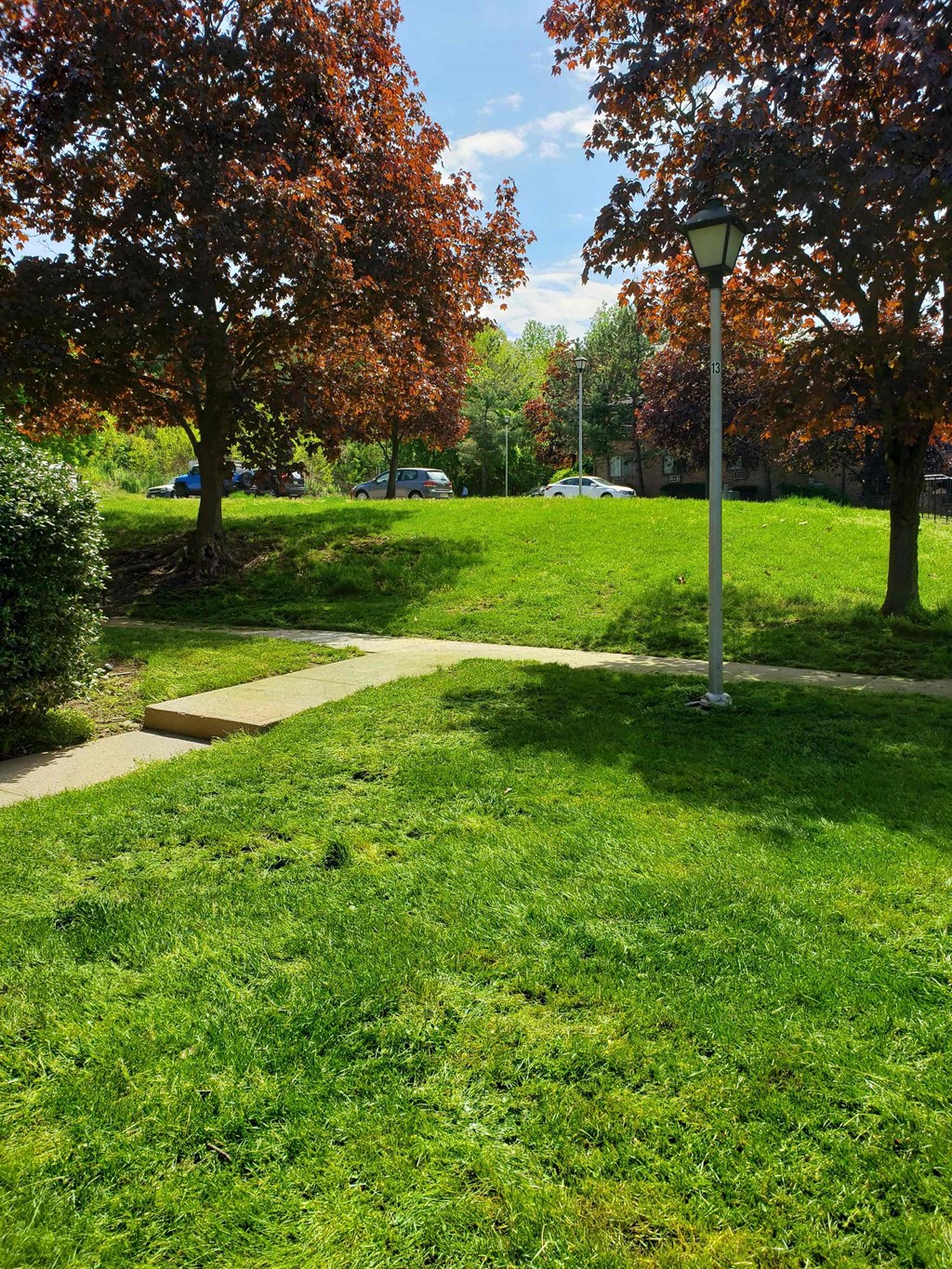 A park with a lamp post and trees.