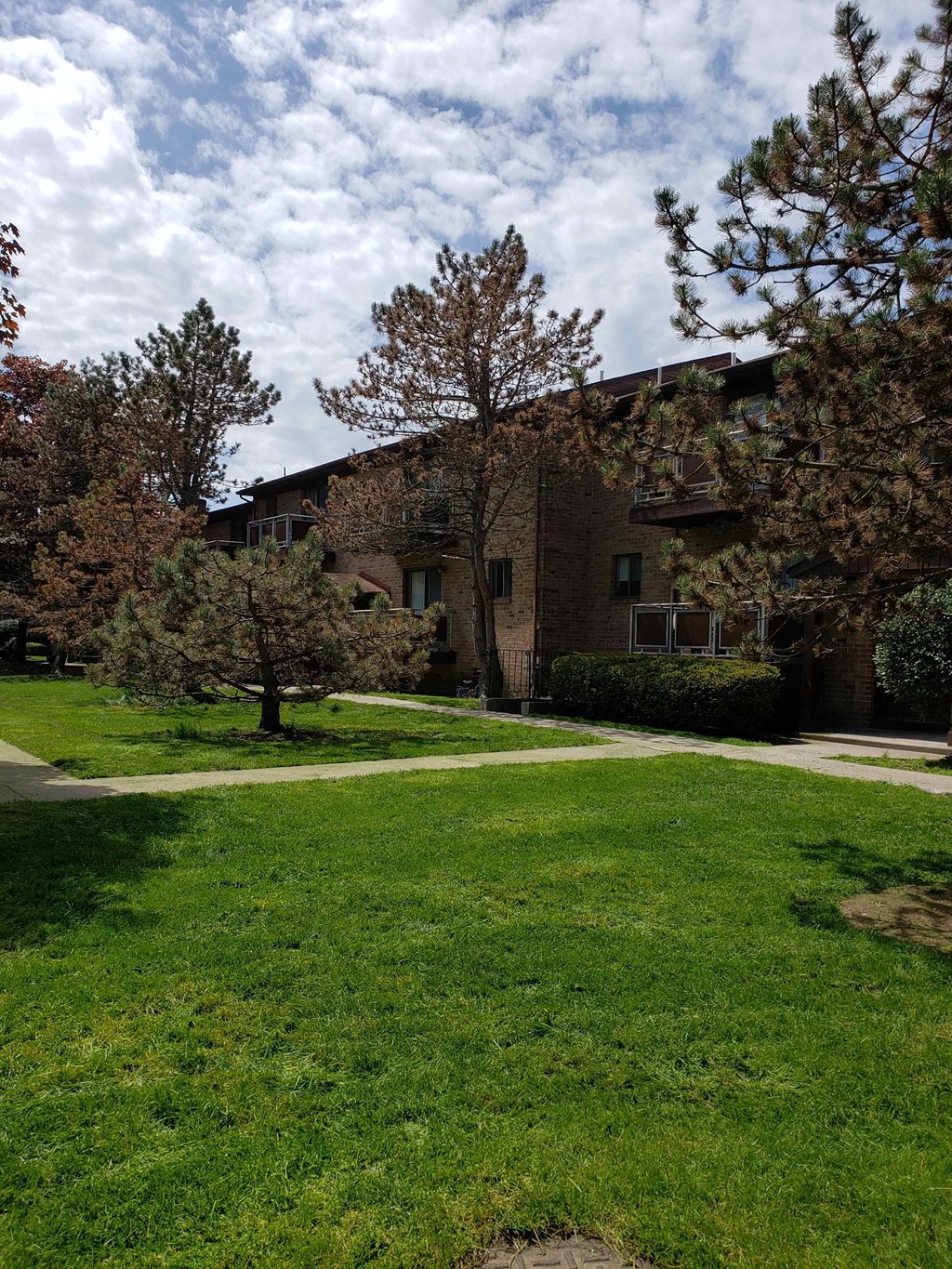 A grassy area in front of a building with trees.
