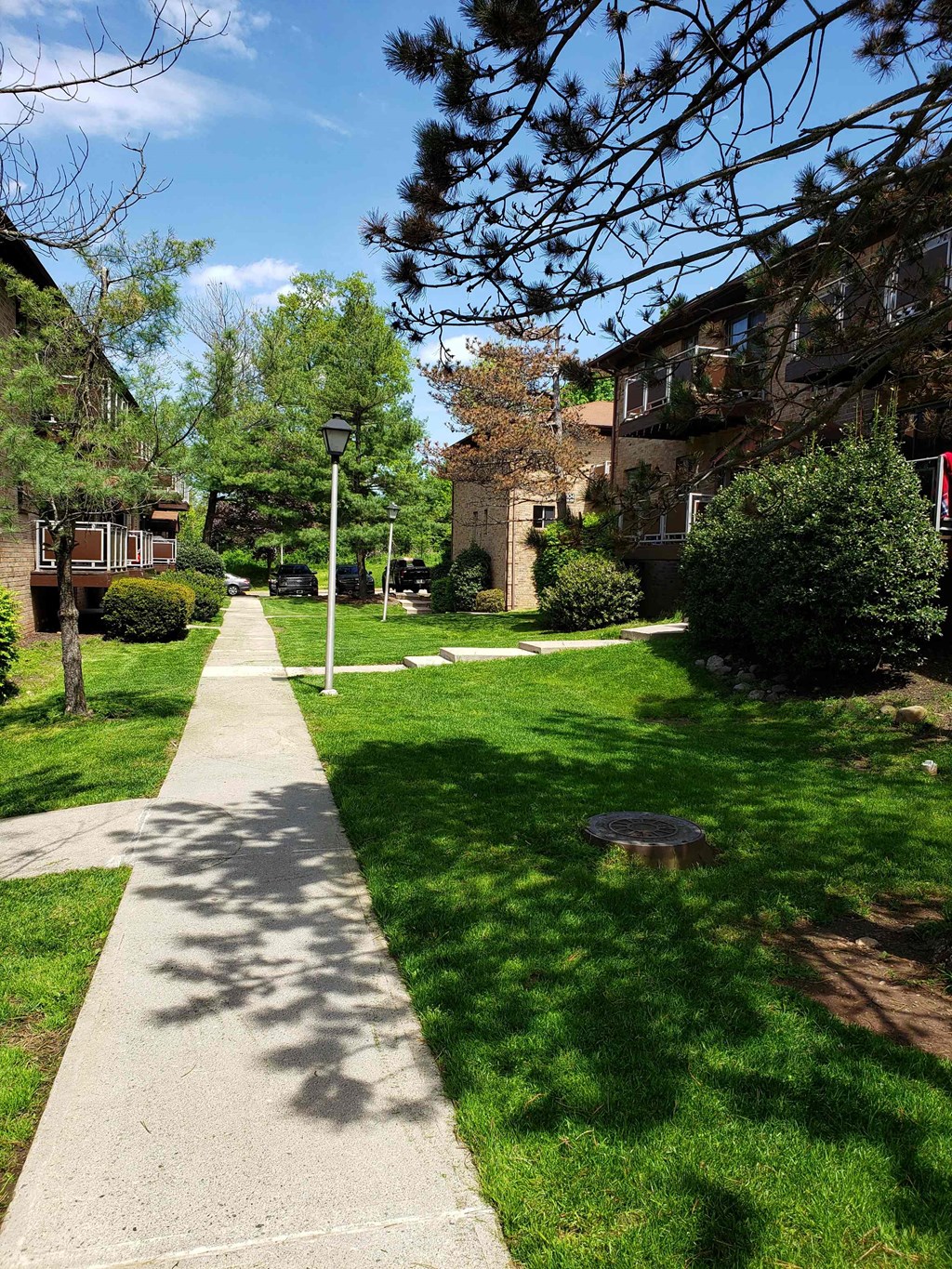A tree-lined walkway leads to a building.