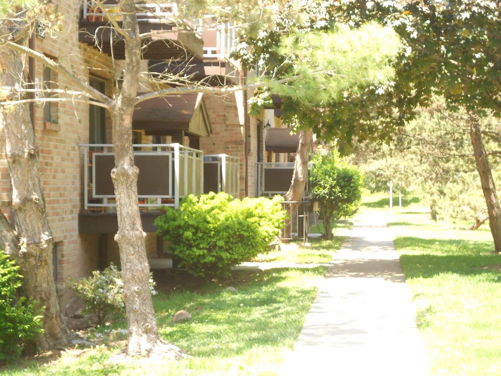 A tree in front of a building with a balcony.